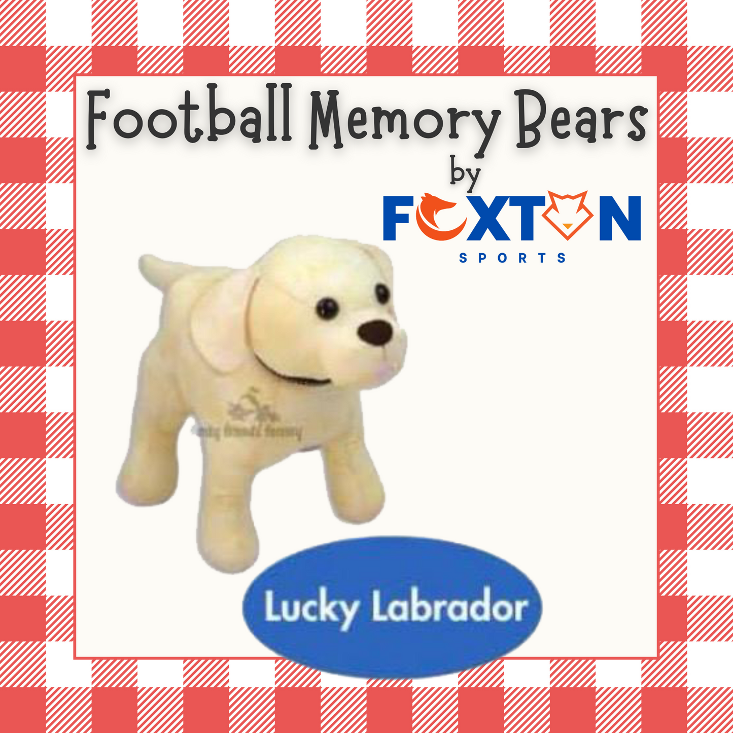 Keepsake Memory Teddy Bear, Football Shirt, Baby Clothing or Leavers Class of 2025, Uniform Bear,
